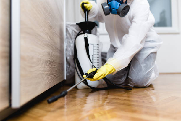 Best Insect Control  in Homer, LA