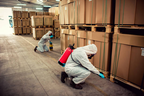 Best Local Pest Control Services  in Homer, LA