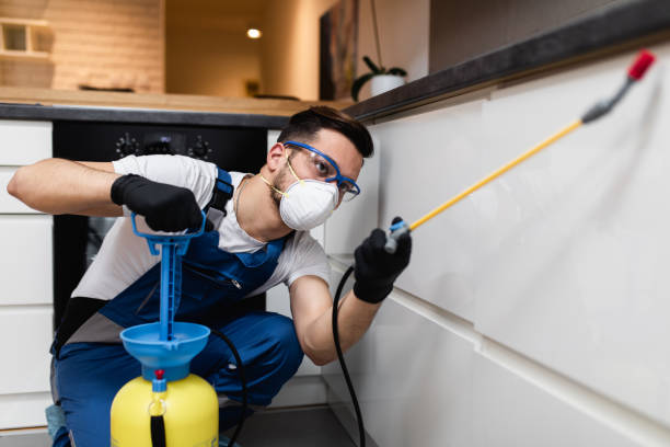 Best Termite Control Services  in Homer, LA