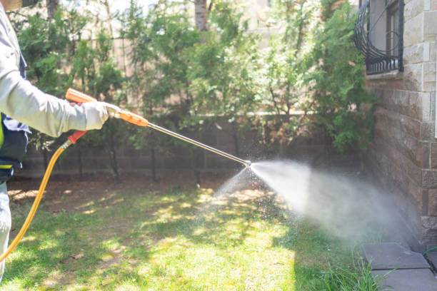 Spider Control Near Me in Homer, LA
