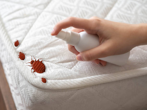 Best Cockroach Control Services  in Homer, LA