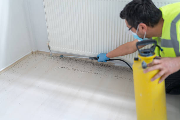 Reliable Homer, LA Pest Control Solutions