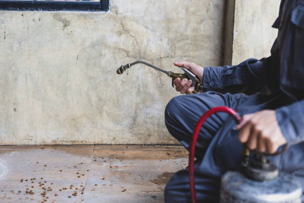 Best Pest Inspection Near Me  in Homer, LA